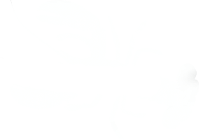 Langosta